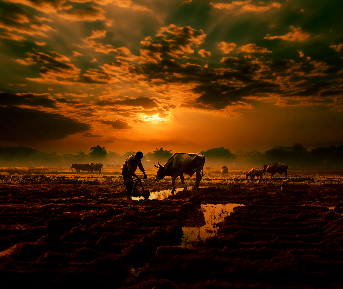 Asset management company