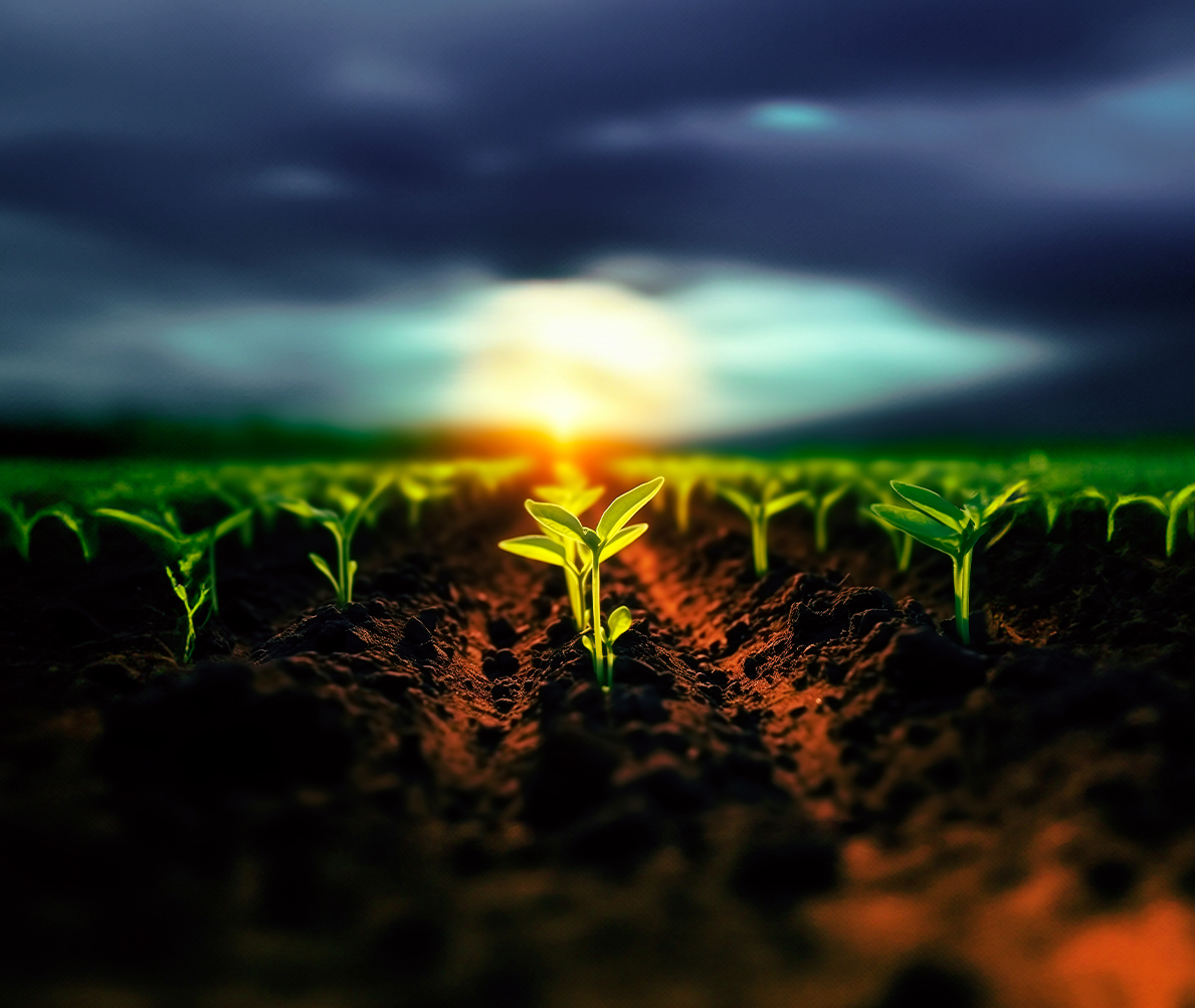 Asset management company